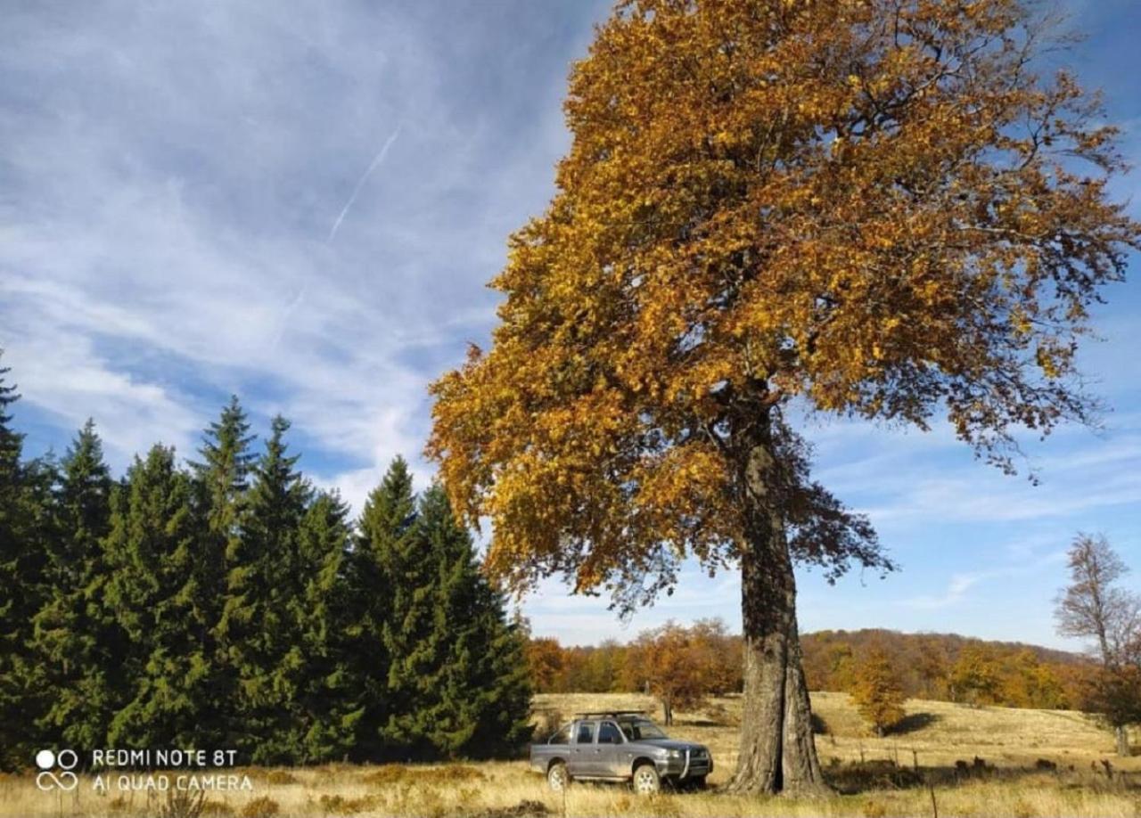 Vodenica Lug Villa Strmosten Exteriör bild